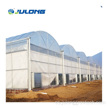 Sistemas hidropónicos agrícolas Multi-span Film Greenhouse